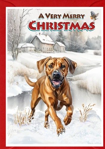 Rhodesian ridgeback dog - ridgeback,