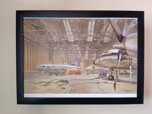 David shepherd aircraft - shepherd,