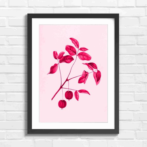 Vintage botanical red - vintage,