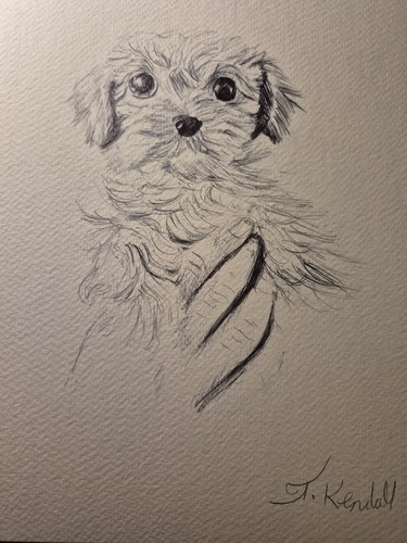 Hand drawn human - and, pet