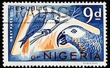 1970 Nigeria Stamp x 1 - African Grey Parrot - Birds - Cancelled