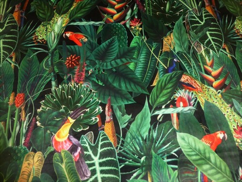 Rainforest tropical printed - rainforest,