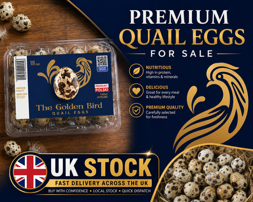 Fresh quail eggs eating - eating, uk