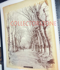 1901 South Africa Newlands