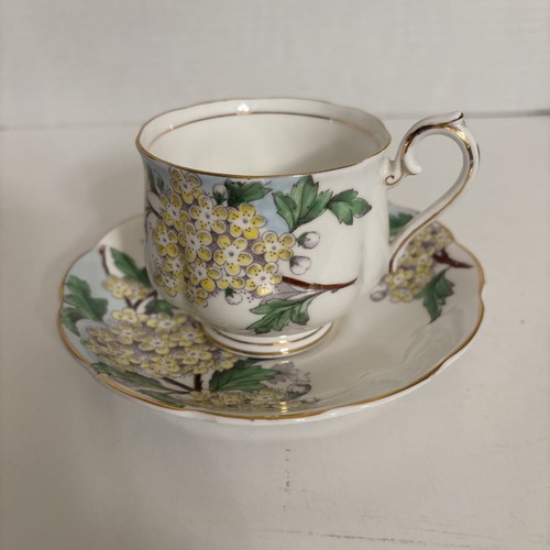 Royal albert hawthorn cup - albert,