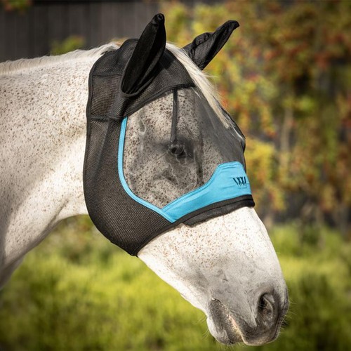 Woof wear horse summer - wear, mesh