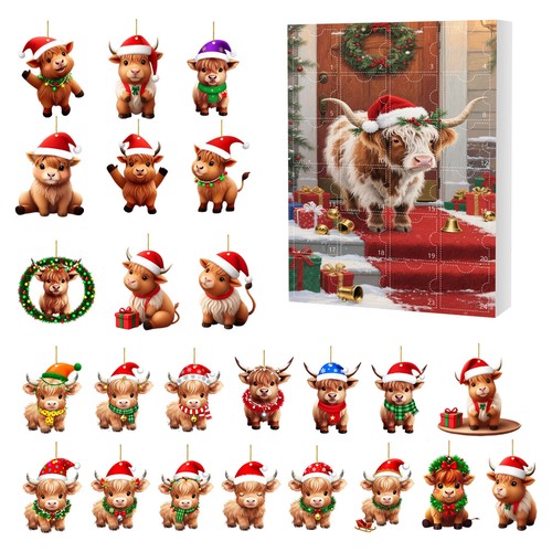 Flat highland cow - cow, advent
