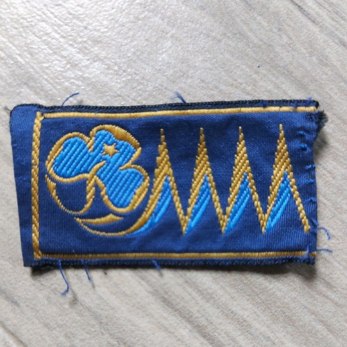 Vintage girl guide - girl,