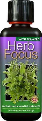 Growth technology herb focus - technology,