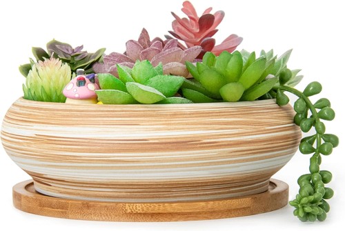 Artketty succulent plant pots - succulent,