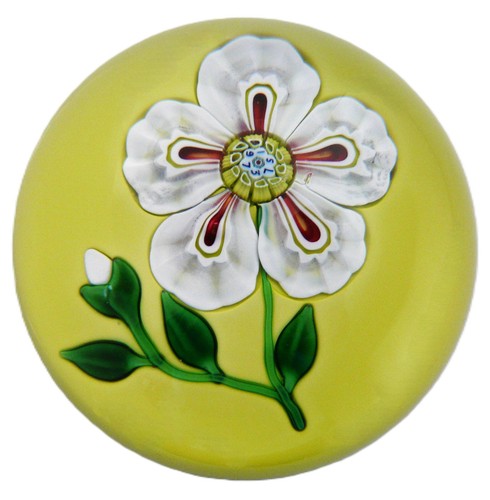 1973 saint louis primrose - 1973,