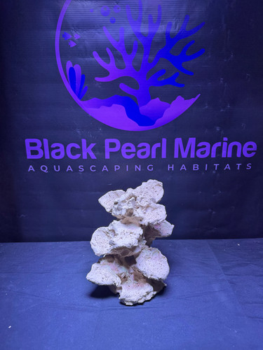 Bpm pico ceramic reef - ceramic,