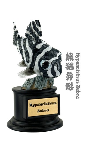 Bowuzhi demersal fish figure - bowuzhi,