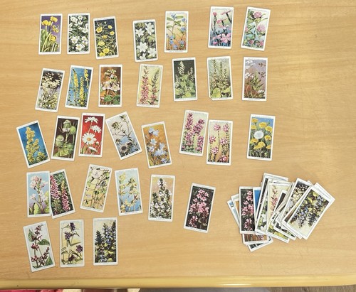 Wills cigarette cards - cards, wild