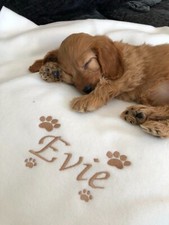 Personalised Dog Blanket