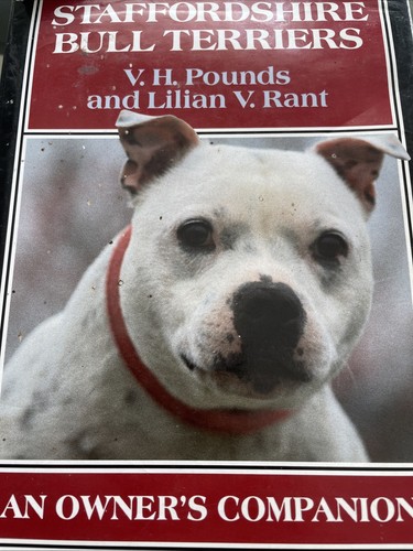 Staffordshire bull terrier - staffordshire,