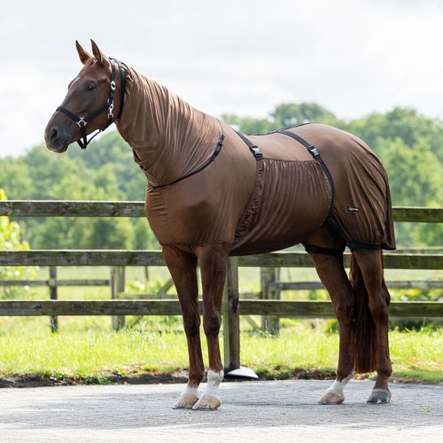 Horse sweet itch summer mesh - summer,