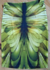 Alexander Mcqueen Dragonfly