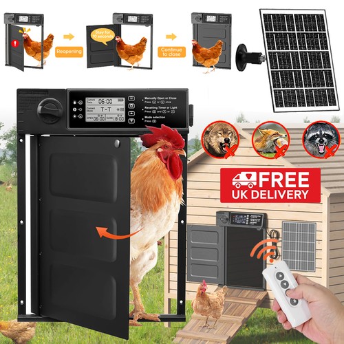 Large automatic chicken coop - large,