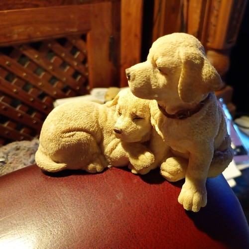Barkers labrador puppy dog - labrador,