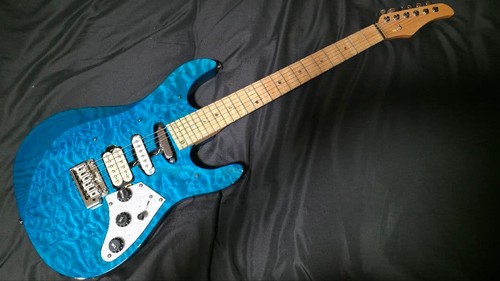 Frankenstyle stratocaster - frankenstyle,