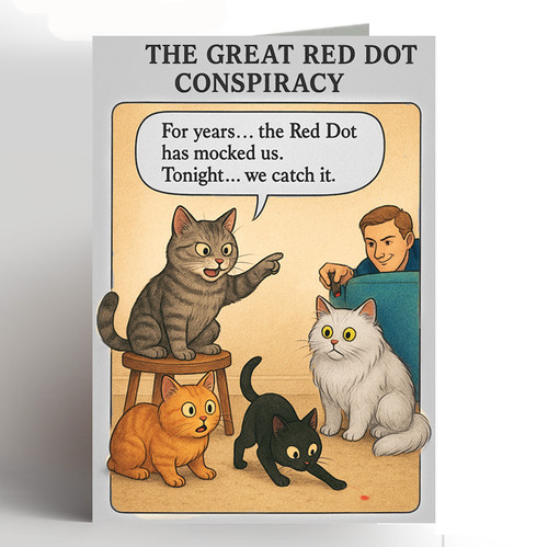 Cat birthday card - card, funny