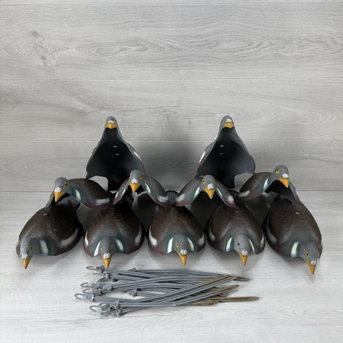 Sport plast half pigeon - plast,
