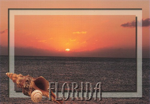 Sunset with sea shells - sunset,