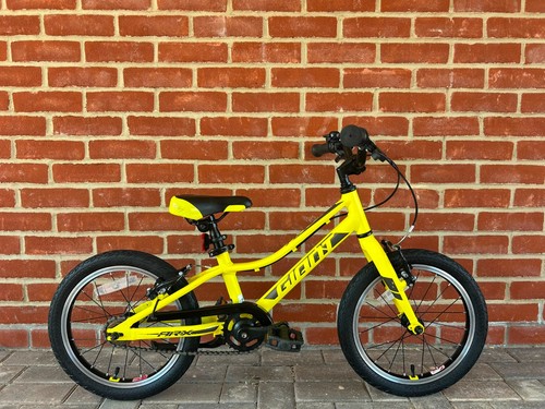 Giant arx kids bike great - arx,