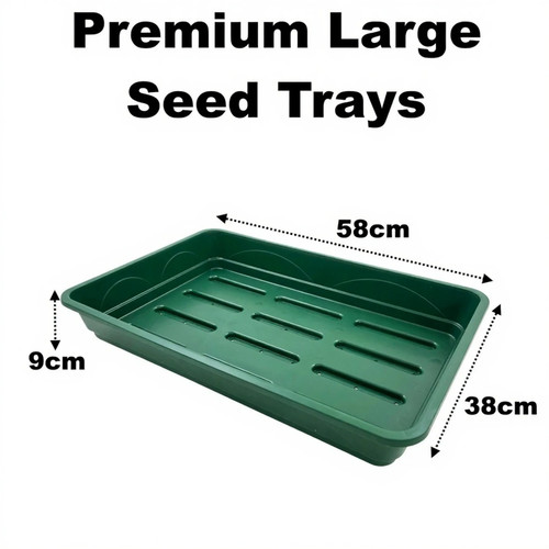 Large premium 58cm solid - premium, seed