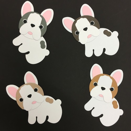 French american bulldog - french/american,