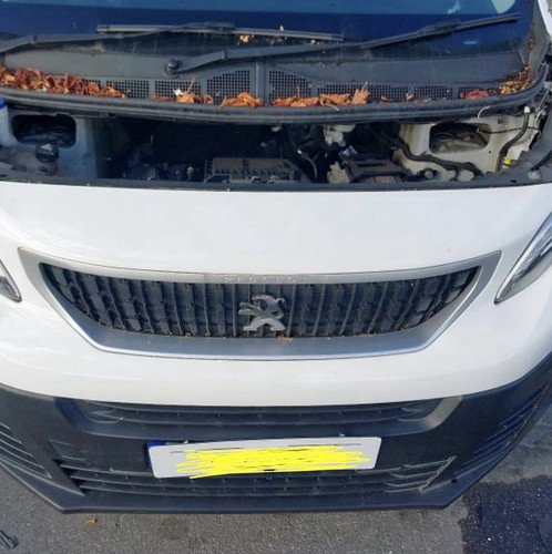 Peugeot expert 2019 blue - peugeot,