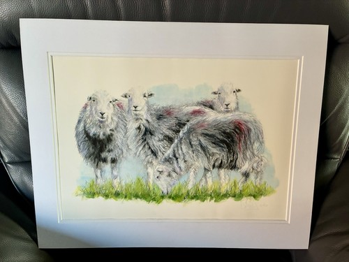 Beautiful david pooley signed - beautiful,