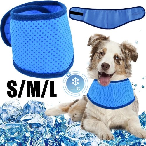 Dog cooling bandana - dog,