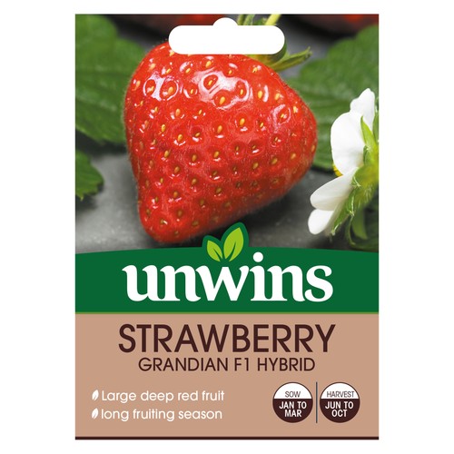 Strawberry grandian unwins - strawberry,