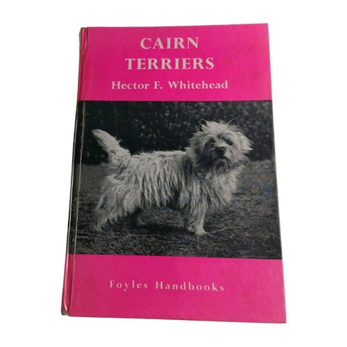 Cairn terriers hector - terriers,