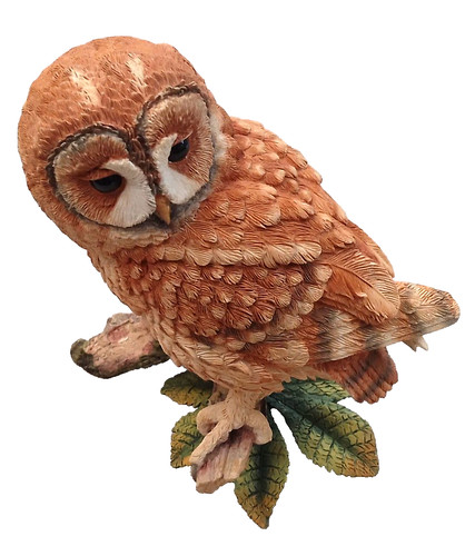 Country artists tawny owl - country,