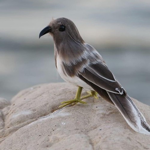 Artificial feather bird - artificial,