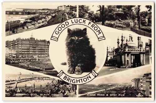 Brighton multiview sussex - brighton,