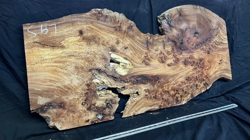 Burr elm rustic table top