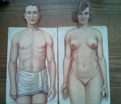Antique anatomical flap charts - anatomical,