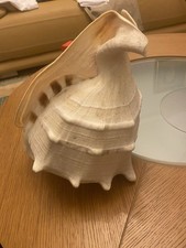 Large vintage queen - queen, conch