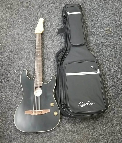 Godin tour nylon - g-tour,