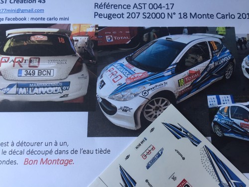 New decal peugeot 207 - 1,