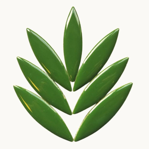 Eucalyptus ceramic ellipse - eucalyptus,