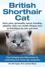 British Shorthair Cat: From