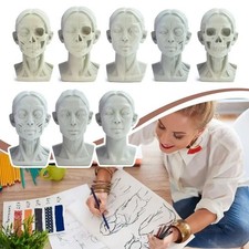 Resin Planar Head Model