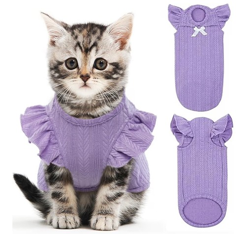 Cat shirts cotton kitten - cat, shirts,