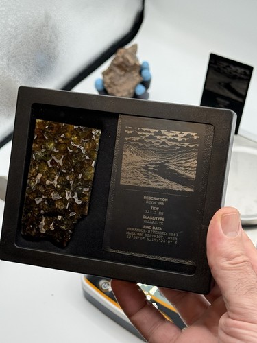 Seymchan pallasite 57 8g - -,