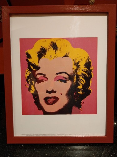 Andy warhol pink - andy,